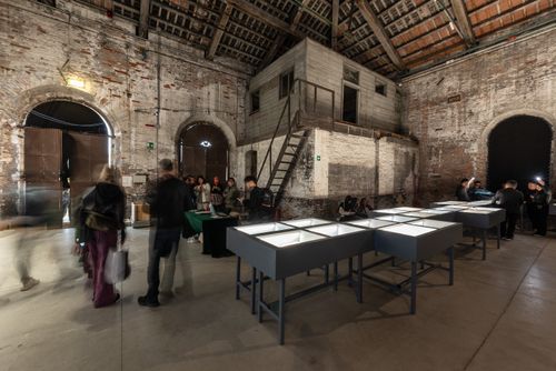 BiennaleVenezia2024doc_0182.jpg