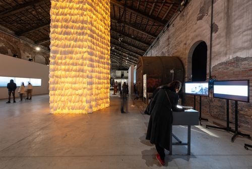 BiennaleVenezia2024doc_0192.jpg