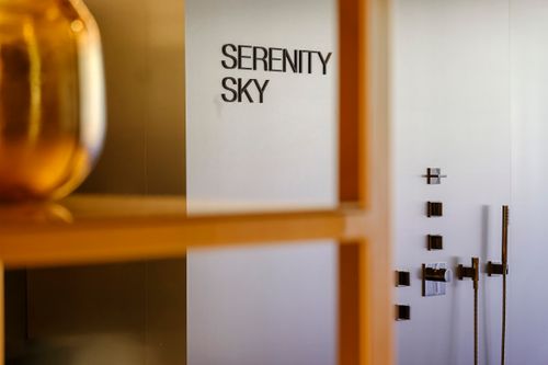  DornBracht_2024_MI_0034 .JPEG