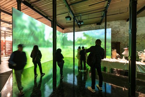BiennaleVenezia2024sel_0041.jpg