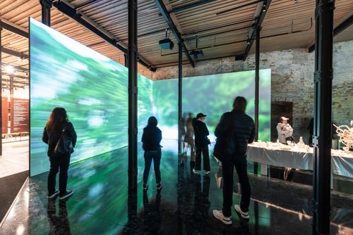 BiennaleVenezia2024doc_0200.jpg