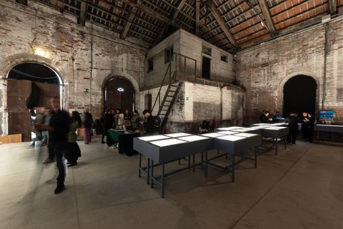 BiennaleVenezia2024sel_0031.jpg