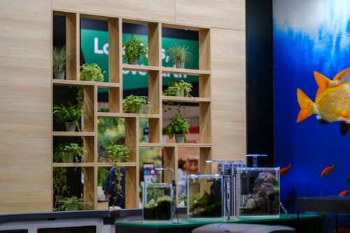 InterZoo_052024_sel_153.JPEG