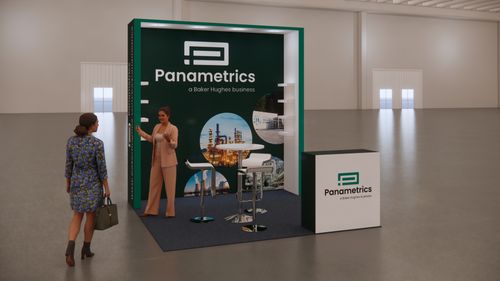 PANAMETRICS