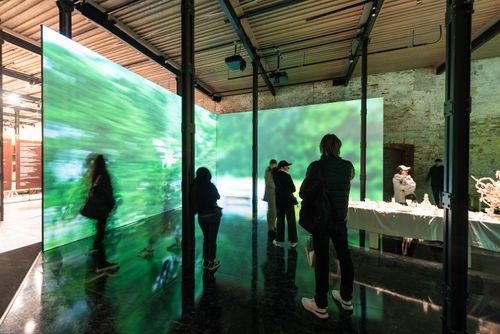 BiennaleVenezia2024doc_0199.jpg