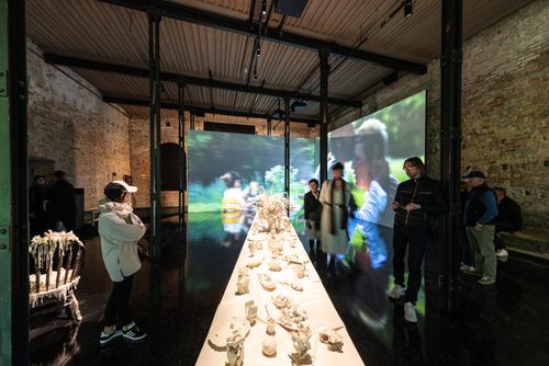 BiennaleVenezia2024doc_0207.jpg