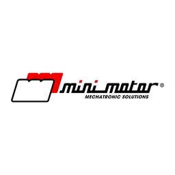 Mini Motor